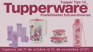 🌸TUPPER TIPS 14 2024 [upl. by Ayel]