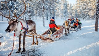 BBC Travel Show  Finnish lapland week 51 [upl. by Eyak]