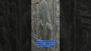 The Curse of the Pharaohs Egypt’s Ancient Warning [upl. by Dahsra]