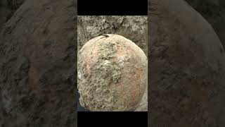 German soldier found with bullet still in head  WWII exhumations  keyhole entry [upl. by Yelloh]