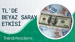 TÜRK LİRASINDA BEYAZ SARAY ETKİSİ [upl. by Sib]