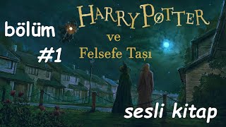 Harry Potter ve Felsefe Taşı birinci bölüm Sağ Kalan Çocuk sesli kitap [upl. by Dier625]