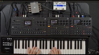 Polyphonic sample triggering on Digitakt II playing Moog Muse sample [upl. by Nasya]