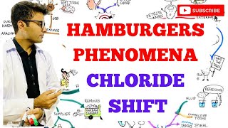 Hamburgers Phenomenon  Chloride Shift [upl. by Vick]