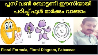 Plus One Botany Chapter 3 Morphology of Flowering Plants Part 8 Fabaceae Malayalam Focus Area [upl. by Phenica]