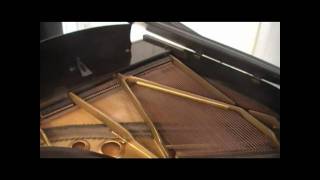 Aeolian Baby Grand Piano [upl. by Anibur]