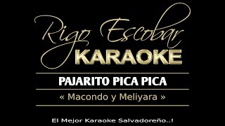 MACONDO Y MELIYARA  PAJARITO PICA PICA KARAOKE [upl. by Lindblad]