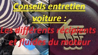 Conseils entretien voiture  Les différents récipients du compartiment moteur [upl. by Airamzul619]