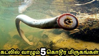 உலகிலேயே அதிக விஷமுள்ள 5 கடல் உயிரினங்கள்  5 Unbelievable Deep sea animals [upl. by Jenkins]