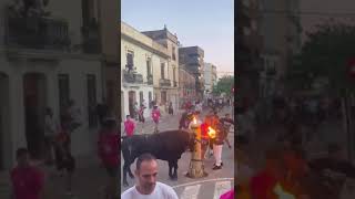 Embolada de un toro de Fernando Machancoses en Carpesa [upl. by Punak856]