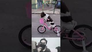 The dog is riding a bicycle  dog cycy video shorts [upl. by Florinda]