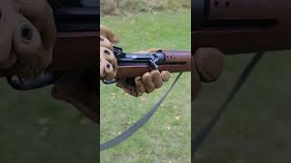 M1 Carbine On The Range [upl. by Acisej]