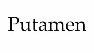 How to Pronounce Putamen [upl. by Marv94]