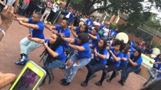 USM Sigmas and USM Zetas Yard Show BWW 2016 [upl. by Arjan]