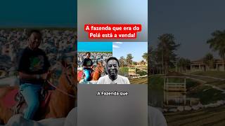 A FAZENDA QUE ERA DO PELÉ ESTÁ A VENDA POR VALOR INCRÍVEL [upl. by Airetal]