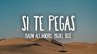 Rauw Alejandro x Miguel Bose  SI TE PEGAS LetraLyrics [upl. by Filberte]