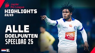 ALLE DOELPUNTEN ⚽🔥 Jupiler Pro League Highlights GD25 [upl. by Anizor]