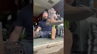 Mini cowboy limblossboss dreamteamprosthetics myleglesslife tinycowboy lol comedy short [upl. by Dorey]