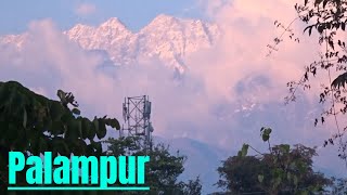 Palampur Himachal Pradesh  A Beautiful Journey Into The Dhauladhar Himalayas  Heavenly journeys [upl. by Basir653]