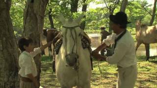 The Gaucho Festival [upl. by Aliuqat]