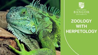 Virtual Visit Day  Zoology with Herpetology [upl. by Hayward]