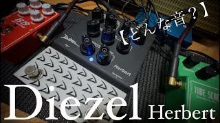 【どんな音？】Diezel Herbert Pedal [upl. by Dinah]