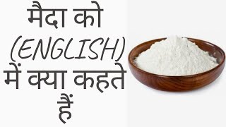 मैदा को ENGLISH में क्या कहते हैं shortsBY WORD MEANING [upl. by Teodorico]