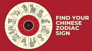 The 12 Chinese Zodiac Signs  Which Chinese Animal Sign Are You amp What It Reveals About You [upl. by Herold]