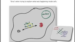 Vitalism to explain biochemistry [upl. by Eldwin]