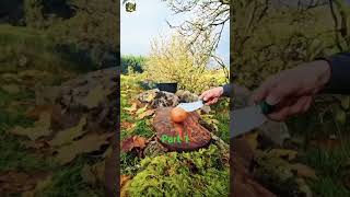 🍗🔪🍖 Rural outdoor cooking short BaTv BaTv Bilalafridi Bilalafridiofficial BaTvofficial [upl. by Stefan]