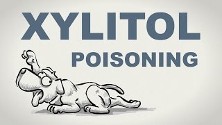 Xylitol poisoning in dogs  Plain and Simple Sketch [upl. by Hsizan]