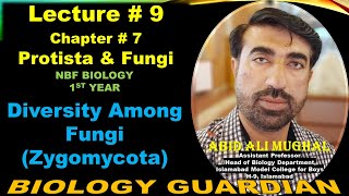 Diversity Among Fungi Zygomycota  Lecture 9 Ch 7 NBF Biology11 By Abid Ali Mughal [upl. by Anayra]