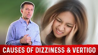 3 Causes Of Dizziness or Vertigo Explained By Dr Berg [upl. by Bishop]