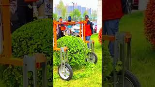 Shrub pruning process with electric trimmer [upl. by Eelyam60]