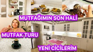 MUTFAK TURUðŸ˜MUTFAK DEKORASYONUMâ¤ï¸KALDIRDIM RAHAT ETTÄ°Mâ‰ï¸BENÄ° MAÄžDUR ETTÄ°ðŸ¥¹YAPAMADIMâ€¼ï¸ALMAK Ä°STÄ°YORUM [upl. by Thayne]