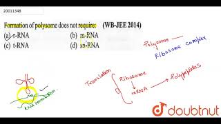 Formation of polysome does not require [upl. by Ellynn]