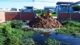 New Project to remove Flooded land working by Dozer M3 amp 5T Truck [upl. by Enrika]