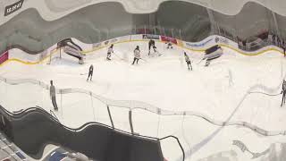 Evanston Wildkit MARIN PLYTER goal vs Chicago Central 1117204 [upl. by Bodkin97]