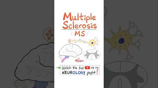 Multiple Sclerosis MS Demyelinating Autoimmune Disease  Part 3…anatomy neuro nurse mbbs [upl. by Adkins]