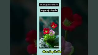 စွဲဆောင်မှုရှိအောင်နေနည်း [upl. by Meean]