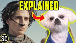 DUNE Explained to a Dog [upl. by Kumar424]