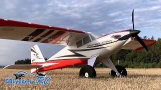 Maiden Flight Review  Eflite Turbo Timber Evolution 15M BNF RC Plane [upl. by Anderson]