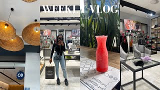 VLOG  celebrating 3k subscribers  steve madden handbag  nomad date amp more [upl. by Eagle]