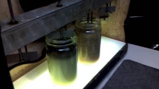 Industrial Wastewater Treatment  Flocculation [upl. by Inal]