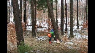 Extrem gefährlichen Hänger mit 16 t Seilzug eliminieren [upl. by Edmund]