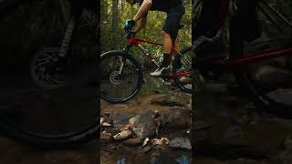 Weve been riding the Superior Bikes XP 919 from bikes online the past few weeks mtb rockgarden [upl. by Ayatahs]