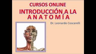 Curso introducción a la anatomía Módulo 1 pptx [upl. by Norel]