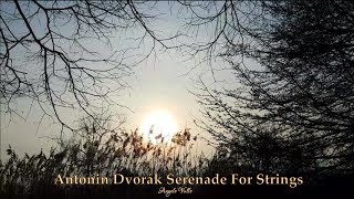 Antonin Dvorák Serenade For Strings [upl. by Nelram]