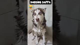 Makkamishi 🤣 funny shorts dog shortsfeed dogshorts doglover funnyanimals animals comedy [upl. by Aciria297]