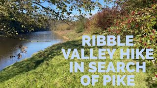 Ribble Valley Hike in search of Pike [upl. by Brunella317]